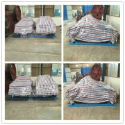 密西西比國(guó)際水務(wù)有限公