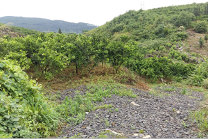 貴州余慶機(jī)制砂零排放案